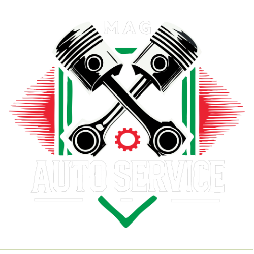 2 pistoane mag auto service
